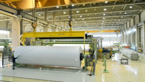 pulp and paper industrie